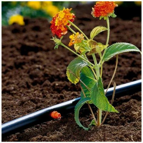 GARDENA Micro Drip Selbstregulierender Tropfer - 2L/h 1340-32 Bestes Angebot 🌟 GARDENA Micro Drip Selbstregulierender Tropfer - 2L/h 1340-32 ❤️ -GARDENA SHOP 13762611 2