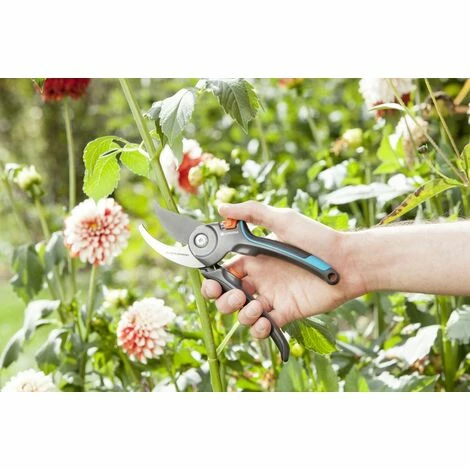 Gardena Gartenschere Strauchschere Astschere Pflanzenschere Großhandel ✔️ Gardena Gartenschere Strauchschere Astschere Pflanzenschere ⌛ -GARDENA SHOP 20309466 2