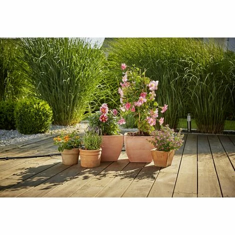 GARDENA Micro-Drip System Erweiterungsset Pflanztöpfe 13 mm (1/2") Ø Schlauchlänge: 5 m 13005-20 Beste Bewertungen von 💯 GARDENA Micro-Drip System Erweiterungsset Pflanztöpfe 13 Mm (1/2") Ø Schlauchlänge: 5 M 13005-20 🌟 -GARDENA SHOP 46078385 2