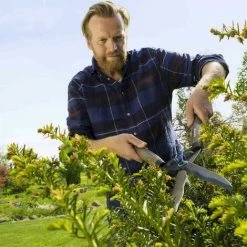 Bester Verkauf 🤩 Gardena Heckenschere Holzgriff Nature Cut Gartenschere Astschere Strauchscheren 🔔 -GARDENA SHOP 55770846 3