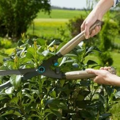 Bester Verkauf 🤩 Gardena Heckenschere Holzgriff Nature Cut Gartenschere Astschere Strauchscheren 🔔 -GARDENA SHOP 55770846 4