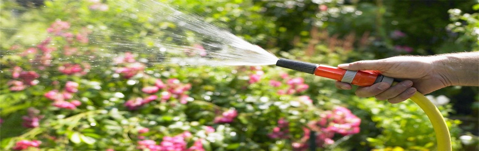 GARDENA SHOP -GARDENA SHOP mature man watering garden with hose royalty free image 1592911399